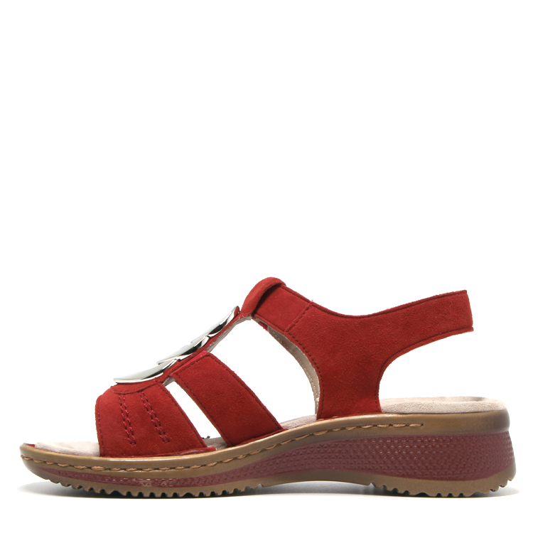 Ara Helena | ROUGE
