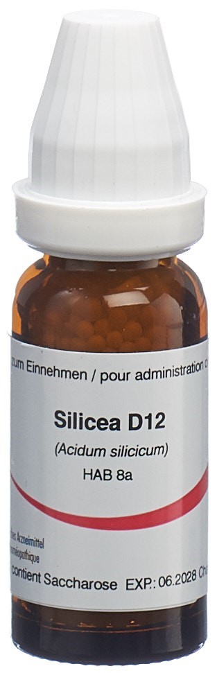 Omida Silicea Glob 12 D 14 g