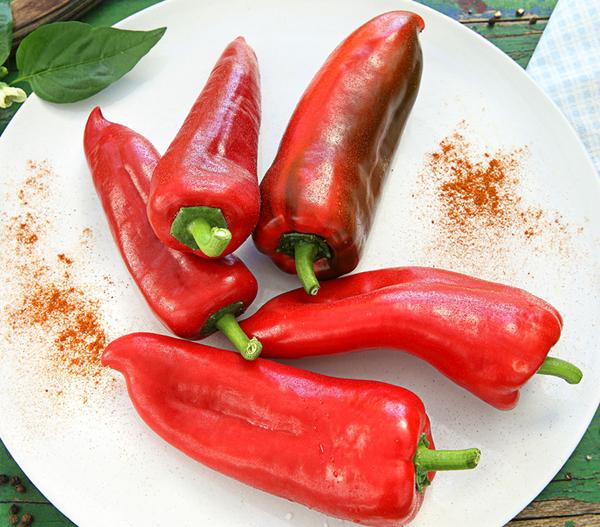 Spitzpaprika, rot