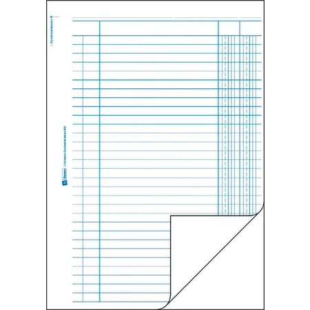 Avery Zweckform 450 Kolonnen-Durchschreibbuch, 2 Kolonnen, A4, mit Blaupapier, 2x50 Blatt