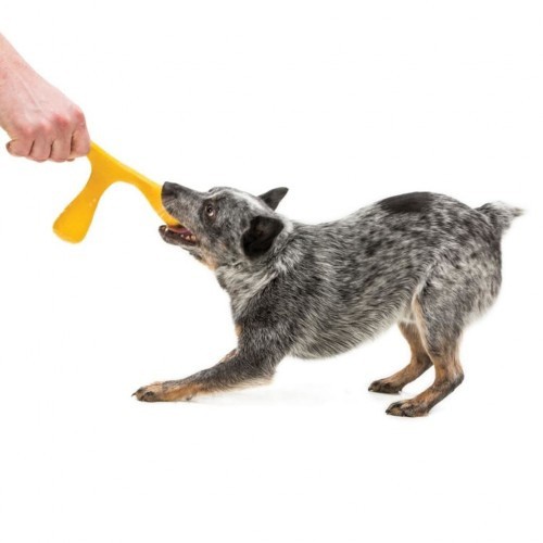 Brinquedo amarelo para mastigar para cães