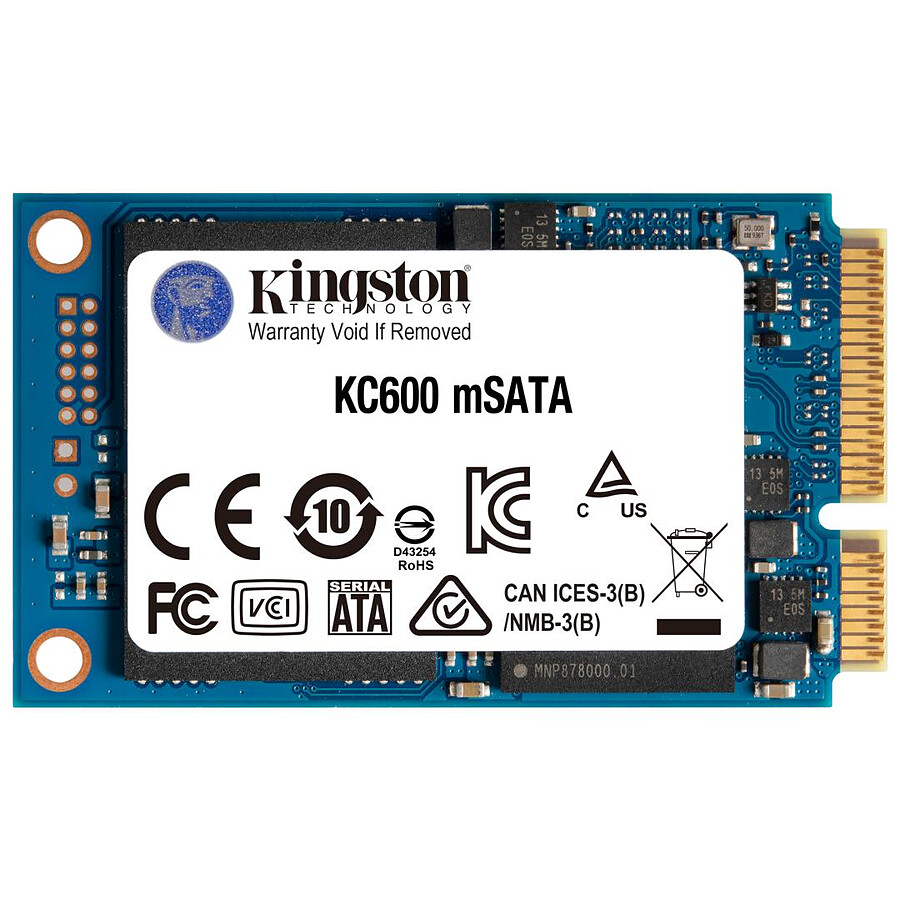 Kingston KC600MS - 256 Go