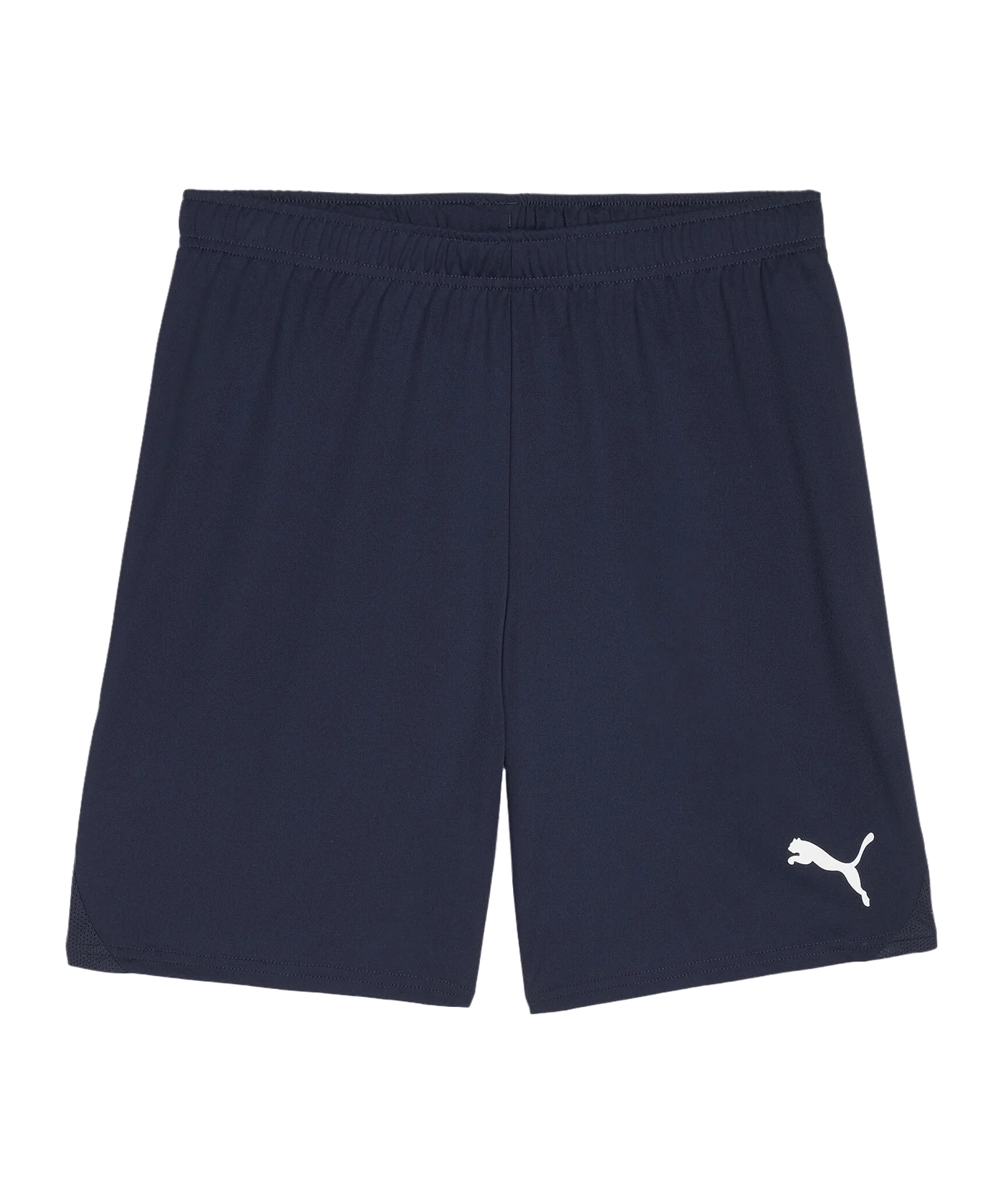 PUMA teamGOAL Short Blau Weiss F06