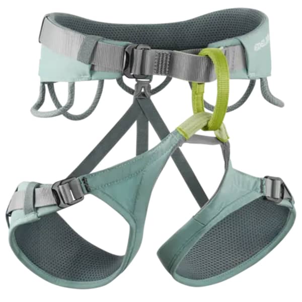 Baudrier escalade EDELRID JAYNE IV DOLPHIN