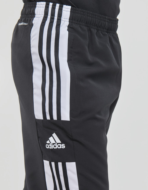adidas Performance - SQ21 PRE PNT Negro