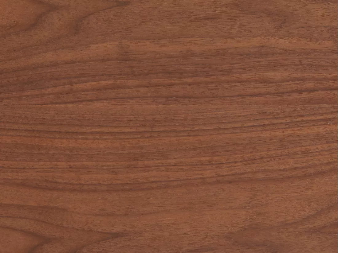 Table basse placage noyer - Naturel foncé - ANTELADA