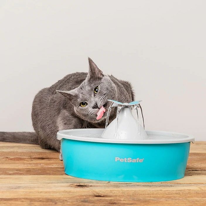 PetSafe Drinkwell Butterfly Pet Fountain Hond Kat 1.5 liter | 12450