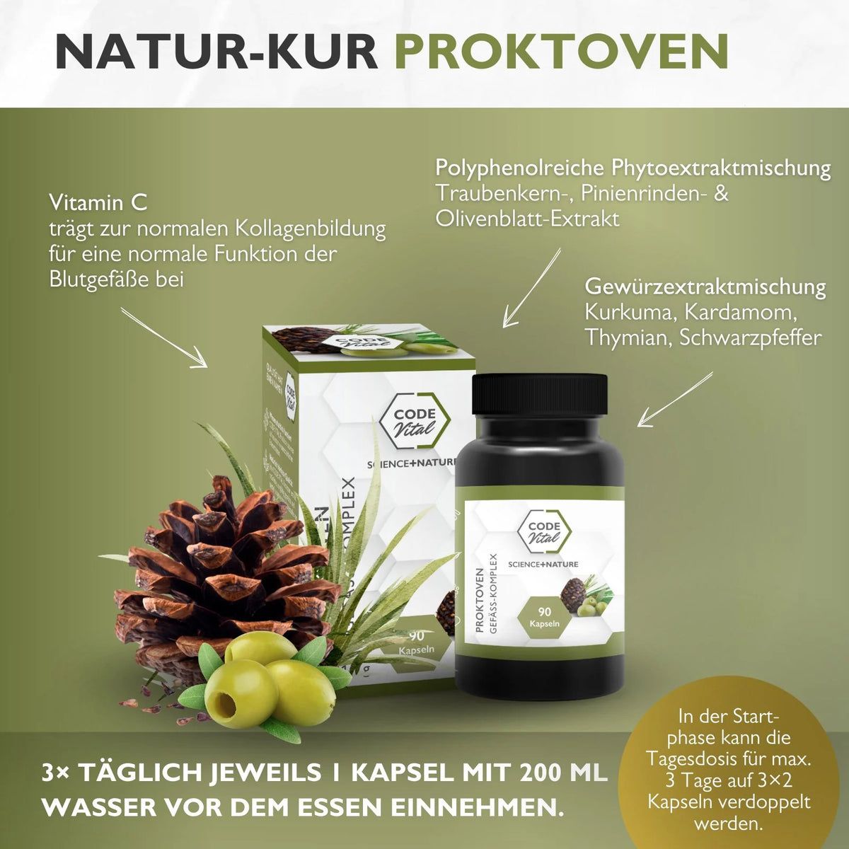 CODE Vital ProktoVen Gefäß-Komplex - Polyphenole zur Entlastung der Blutgefäße im Analbereich