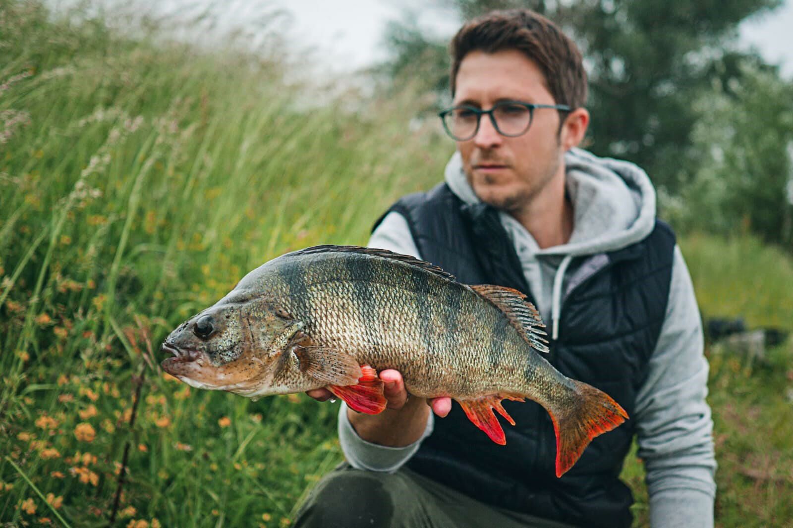 12g In The Bait Bass (Nories)