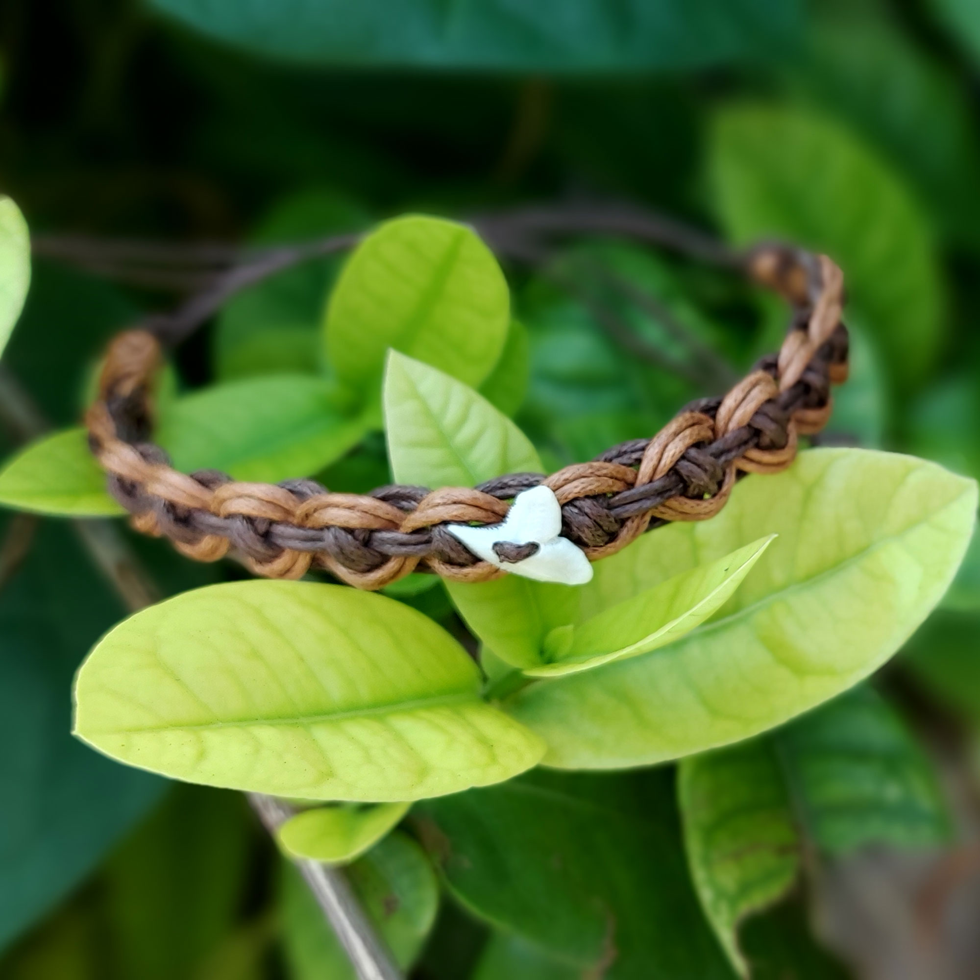 Armband 'Haizahn', braun, T 10 cm, B 10 cm günstig bestellen