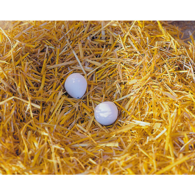 Oeufs factices en bois Kerbl - Lot de 2