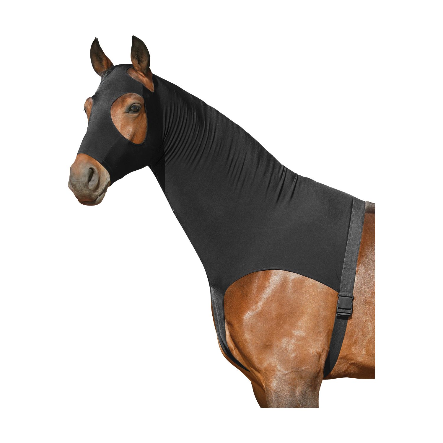 Horse-friends Sleezy  - schwarz