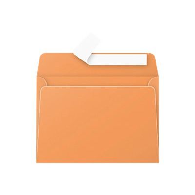 Pollen - 20 Enveloppes - 114 x 162 mm - 120 g/m² - clémentine