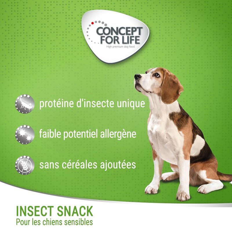 Friandises Concept for Life Insect Snack carottes pour chien