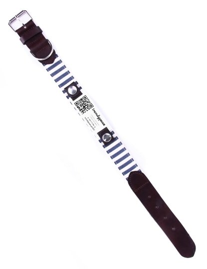 Blue and White Striped Collar