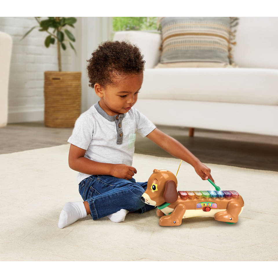 VTech Timmy Teckel xylofoon