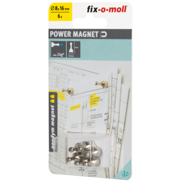 Magneet pion Neodym zilver 8x16mm 4 stuks