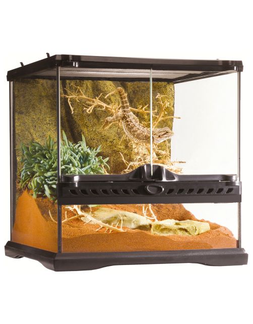 Exo Terra Glas Terrarium - Terraria
