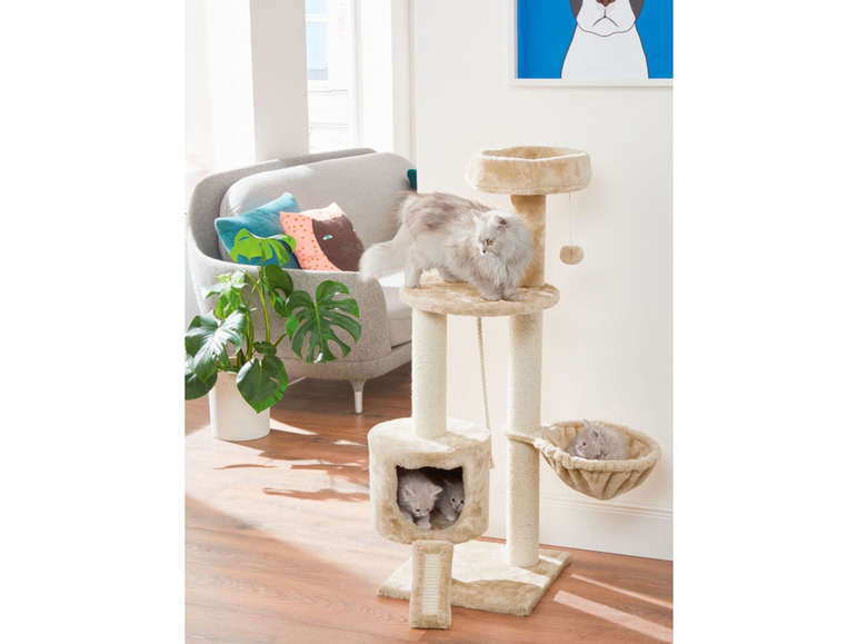 Kattenkrabpaal