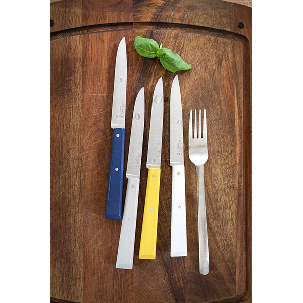 Coffret 4 couteaux de table Céleste Opinel