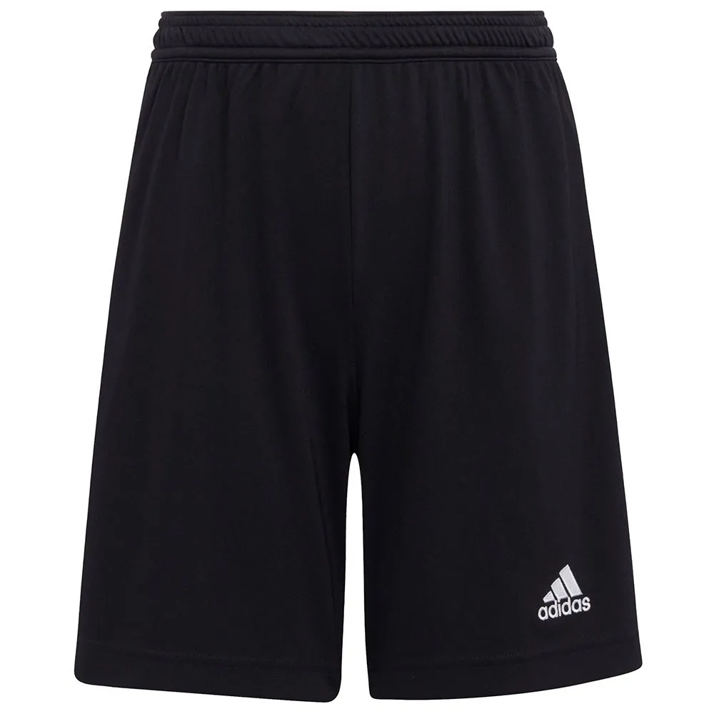 calções adidas Entrada 22