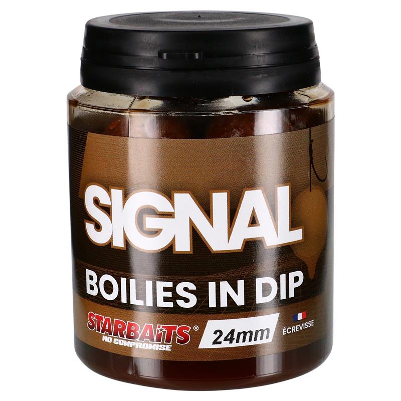 Bouillette Trempée Starbaits Performance Concept Signal Boilies In Dip