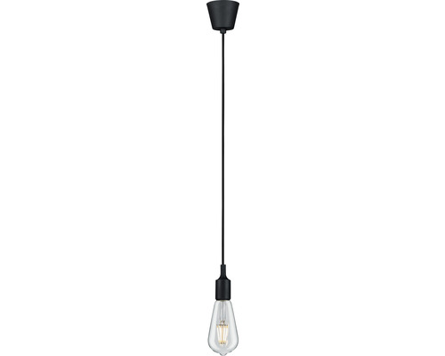 Hanglamp, 1-lichts, IP44, HxØ 200x9,2 cm, zwart