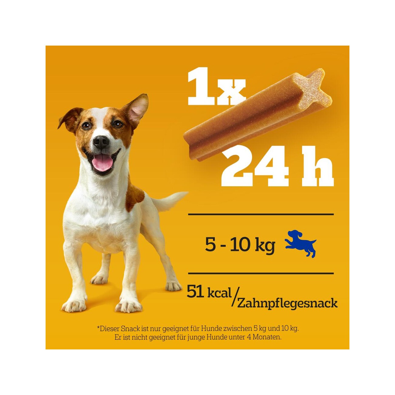 Pedigree Zahnpflege Dentastix Daily Oral Care Multipack Mini, 35x