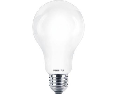 LED-lamp A67 mat E27/17,5W (150W) 2452 lm 2700 K warm wit