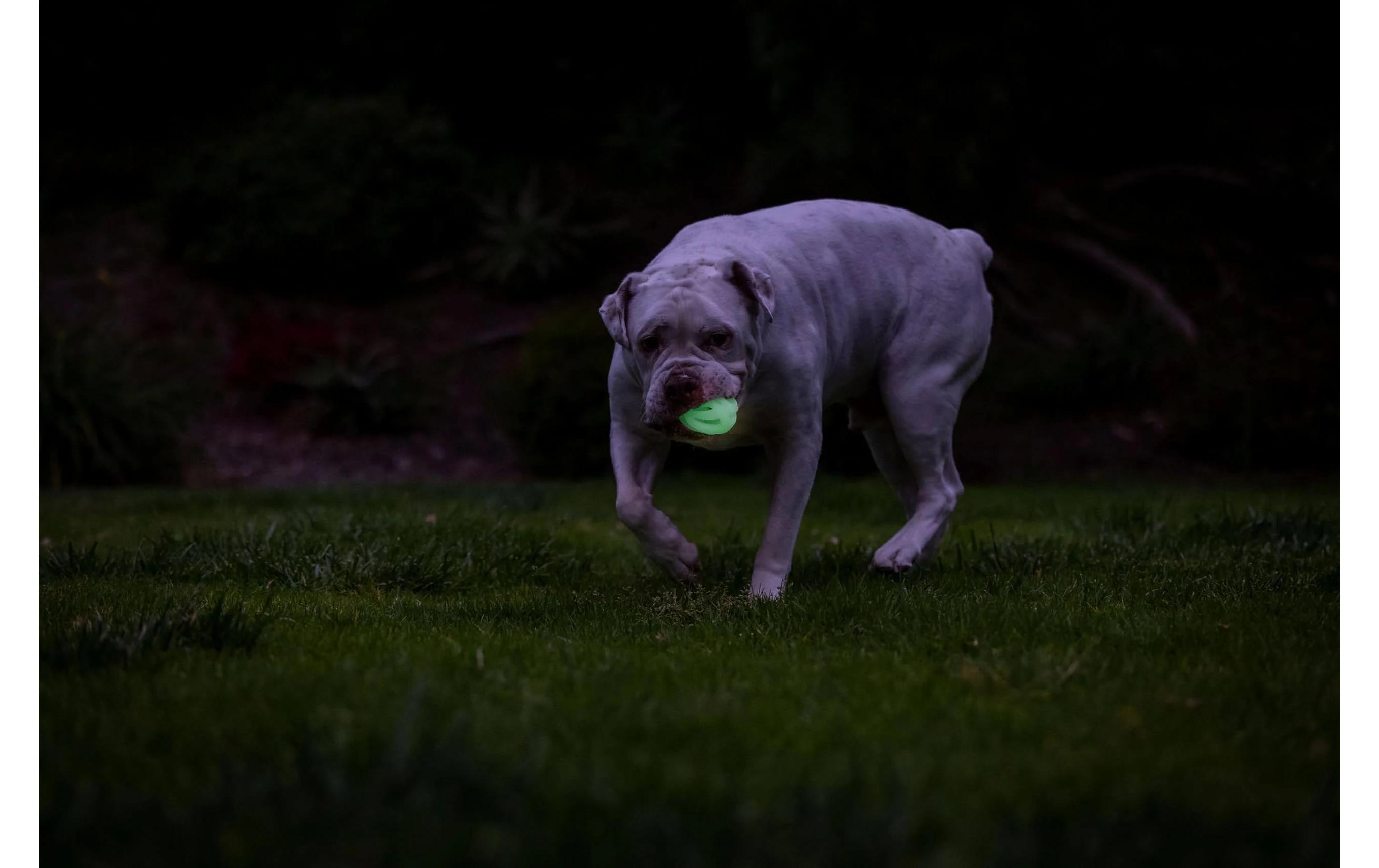 Leuchtball Max Glow Air Fetch Grösse M, 2 StückPhosphoreszierender Erholungsball für Hunde