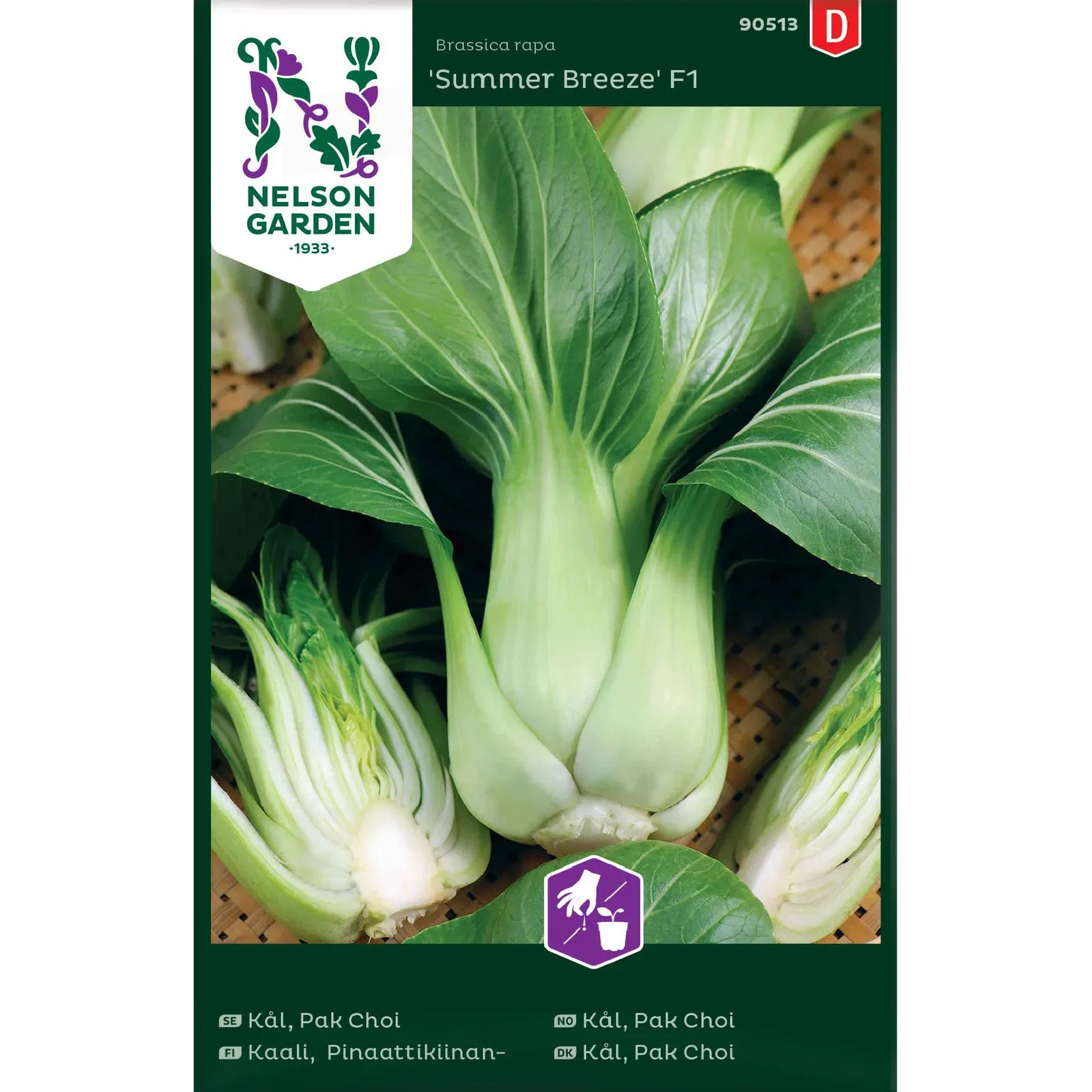 Brassica rapa 'Summer Breeze' Kål Pak Choi 'Summer Breeze'