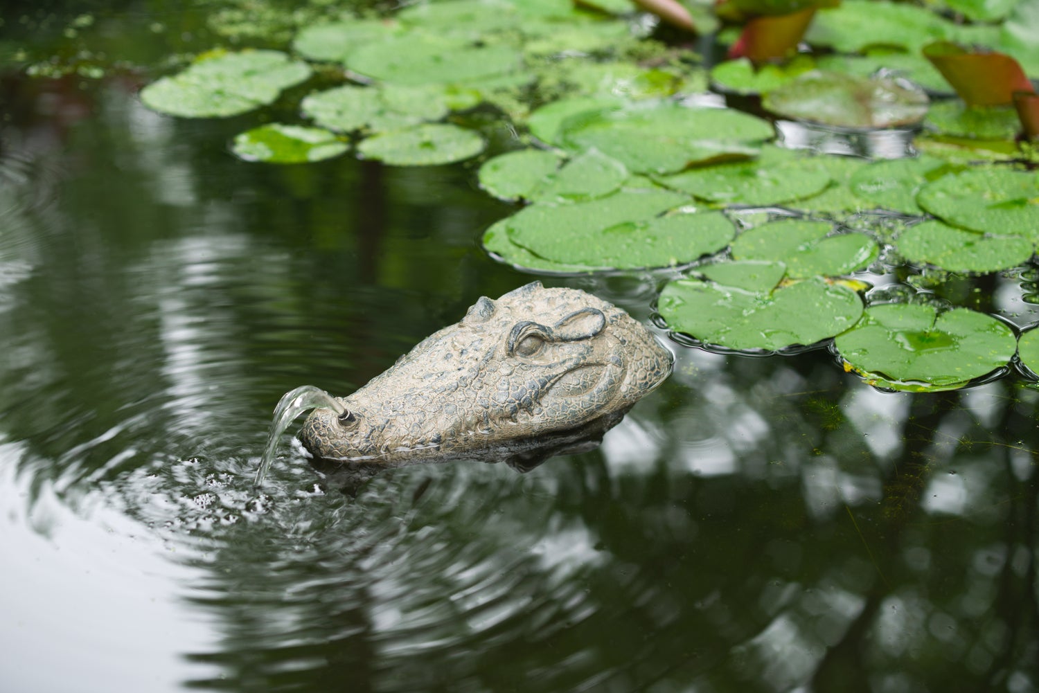 Ubbink spuitfiguur drijvende krokodil brons 34 x 16 x 10 cm
