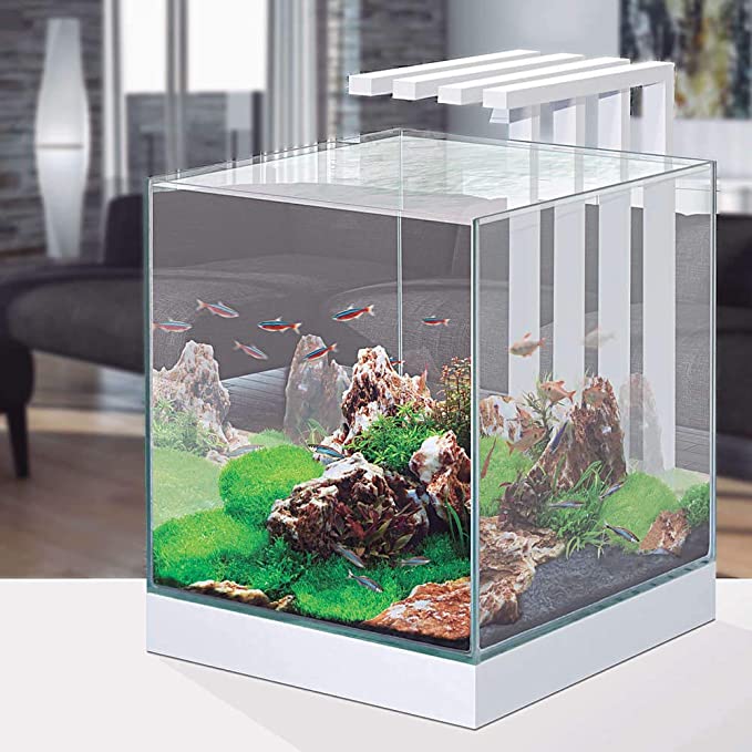 Aquário Nexus Pure Cube 25 - Conjunto completo de 22 litros com LED, filtro interno e consumíveis.