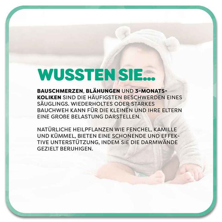 Casa Sana Bauch Gut Tropfen zum Einnehmen, 30 ml