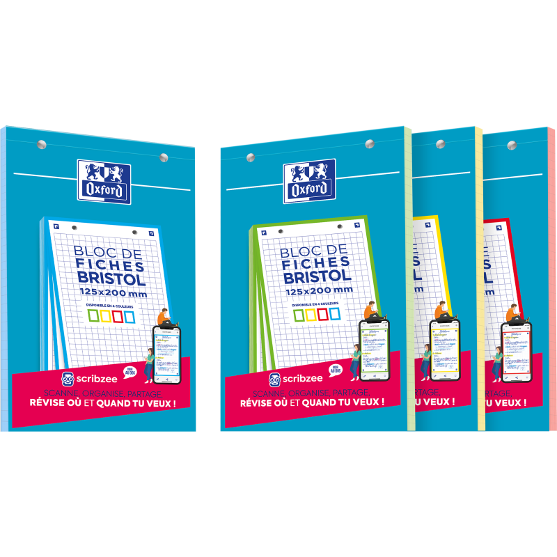Bloc Bristol Oxford 125X200 30 Fiches Perforees Q5/5