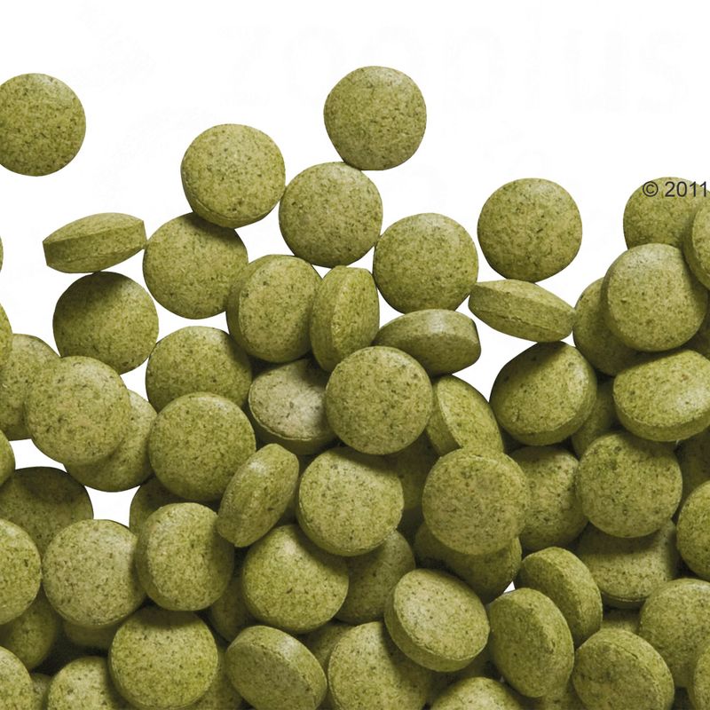 Boule à friandises à prix discount sur bitiba.fr