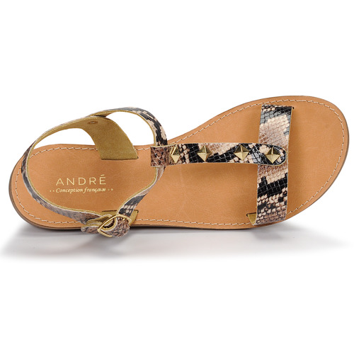André - DOMINOU - Beige