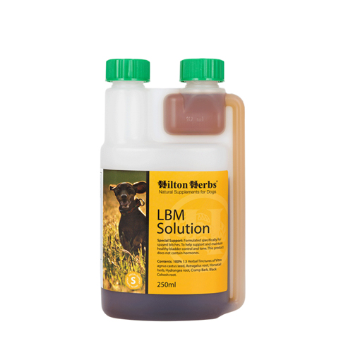 Hilton Herbs LBM Solution for Dogs