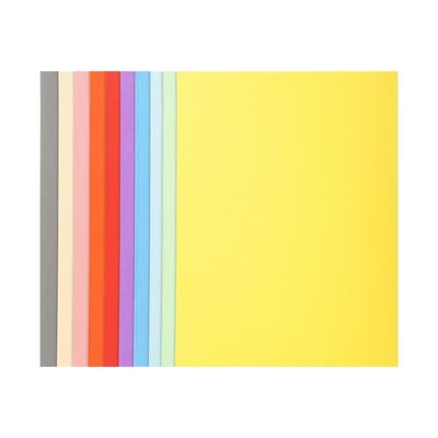 Exacompta Forever 180 - 50 Chemises - 170 gr - pour 200 feuilles - couleurs assorties