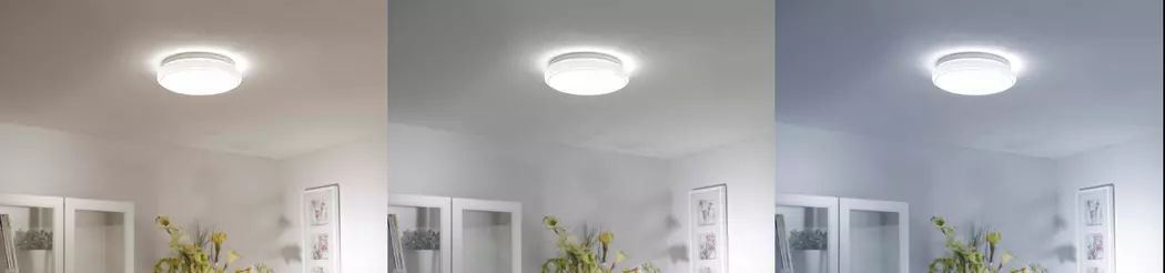 LED-Deckenleuchte Ls-Jupi