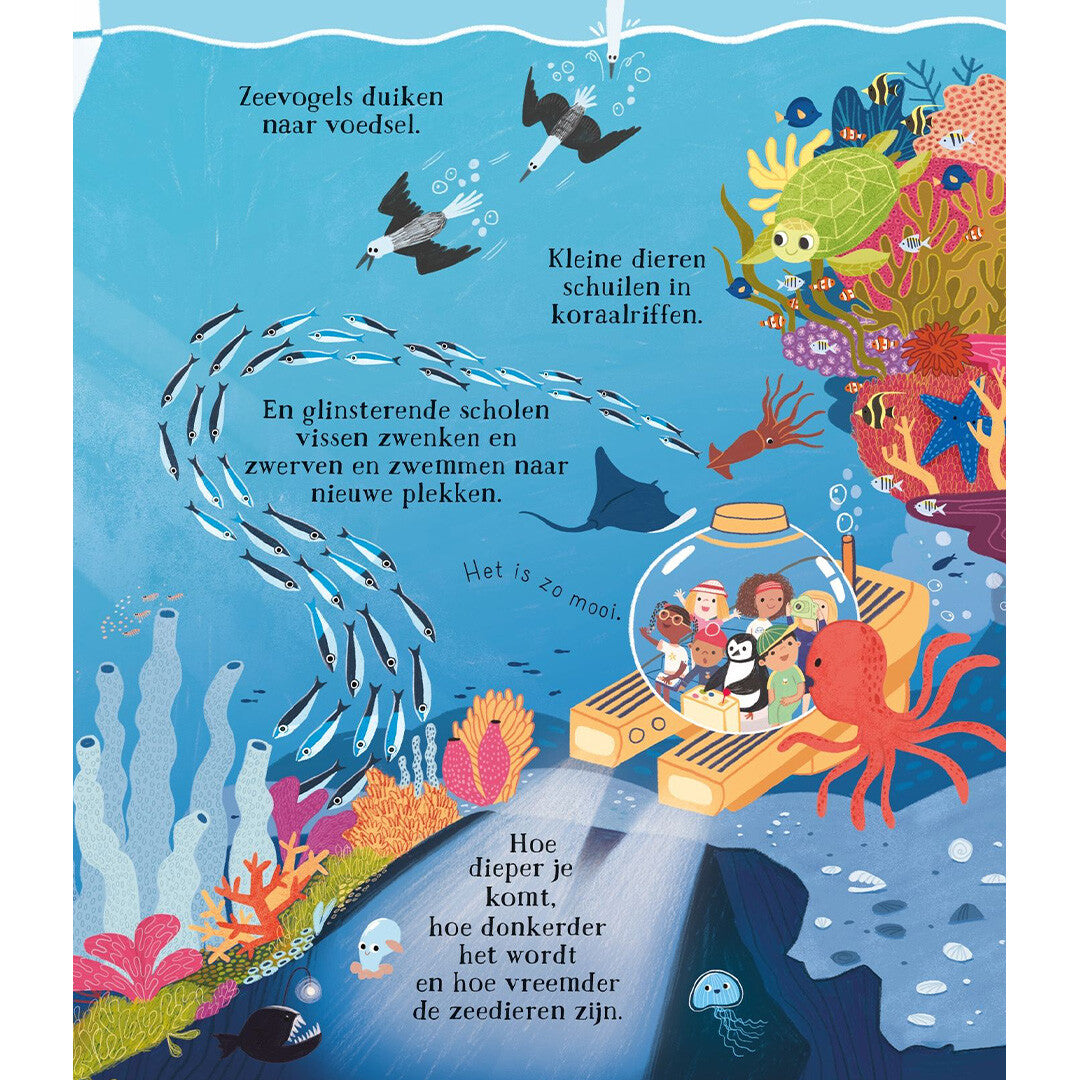Usborne kunnen we de dolfijnen echt helpen?