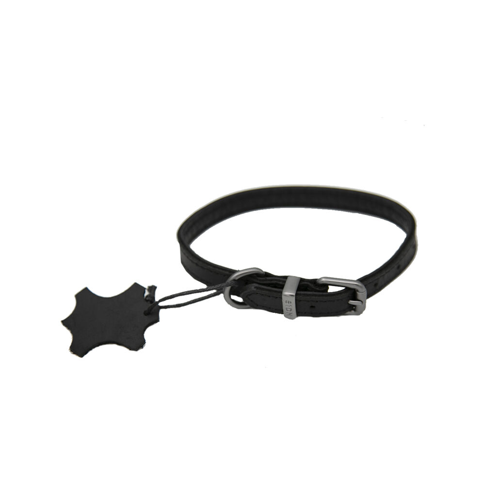 51 Degrees North Milano Collar