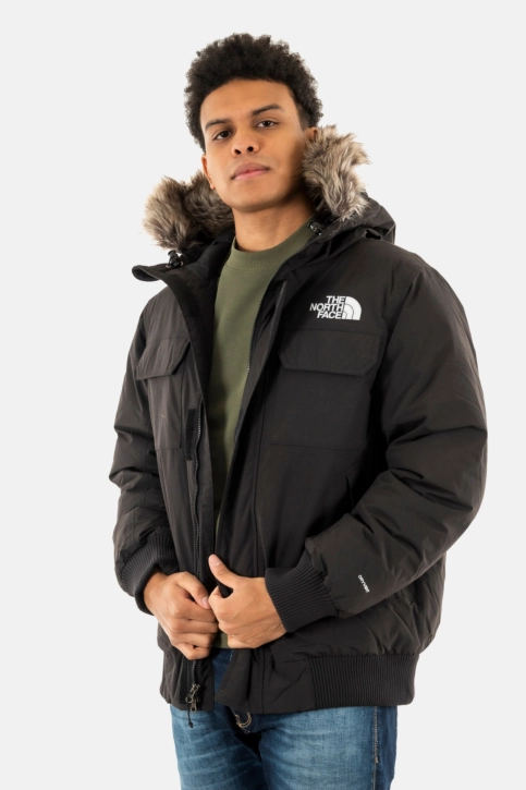 Blousons et vestes the north face mcmurdo jk31 tnf black