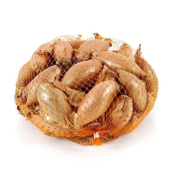 Bulbes d'échalotes 'Longor' en filet -1 kg