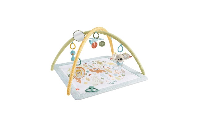Fisher-Price® Spielbogen »Simply Senses«