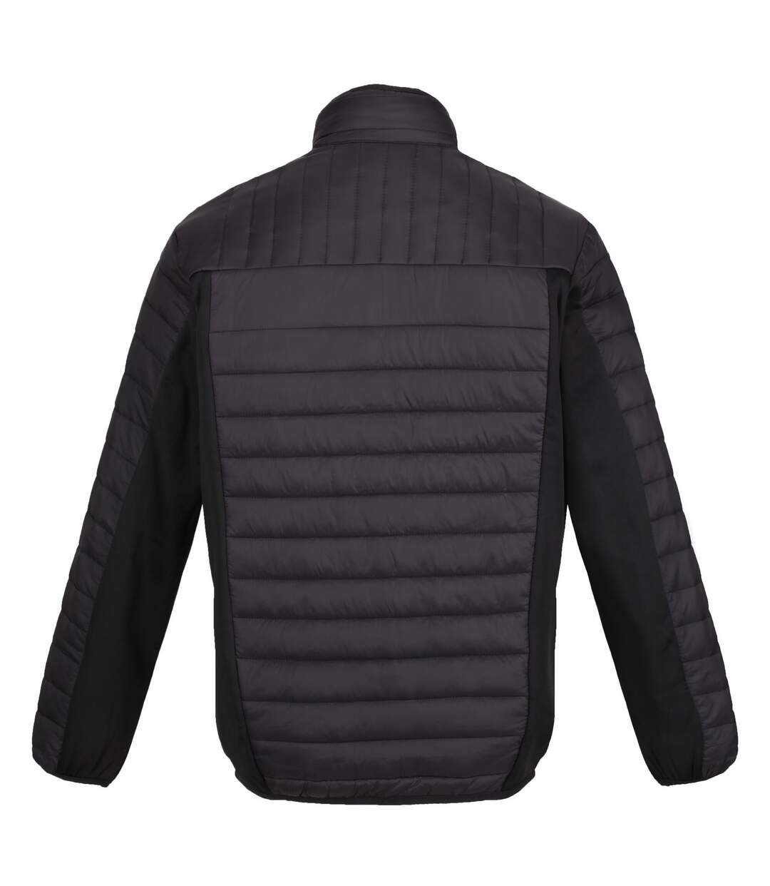 Regatta - Veste TOURER - Homme (Noir) - UTRG6354