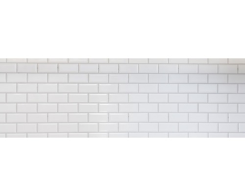Keramisch mozaïek CG M07W 29,56x29,1 cm wit