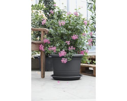 Bloempotschotel, Montana kunststof, Ø 26 cm, H 3,5 cm, antraciet