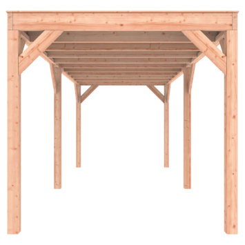 Overkapping Douglas 645x255cm