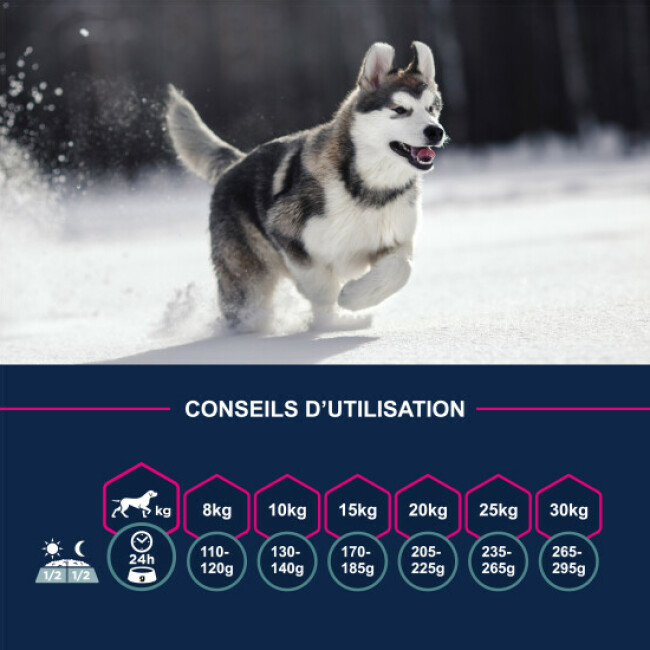 Croquettes Eukanuba Adulte Moyennes Races